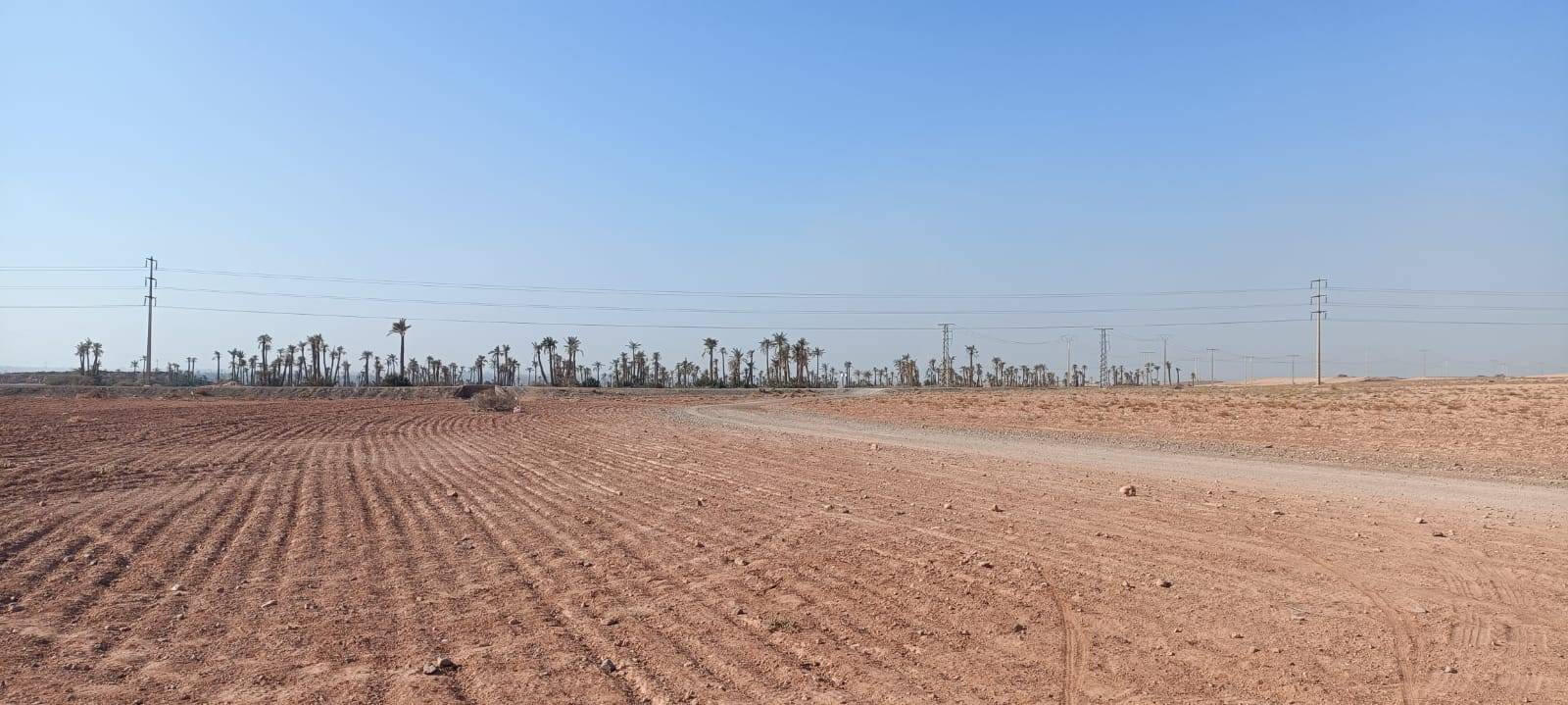 Tours à vélo à la Palmeraie Marrakech demi-journée