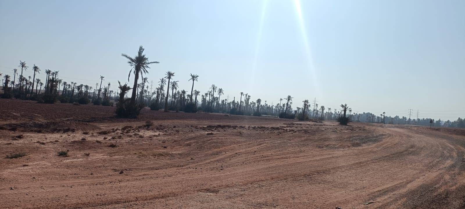 Tours à vélo à la Palmeraie Marrakech demi-journée