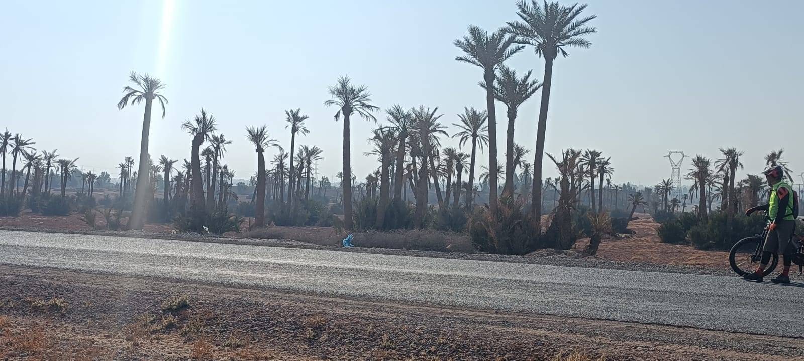 Tours à vélo à la Palmeraie Marrakech demi-journée