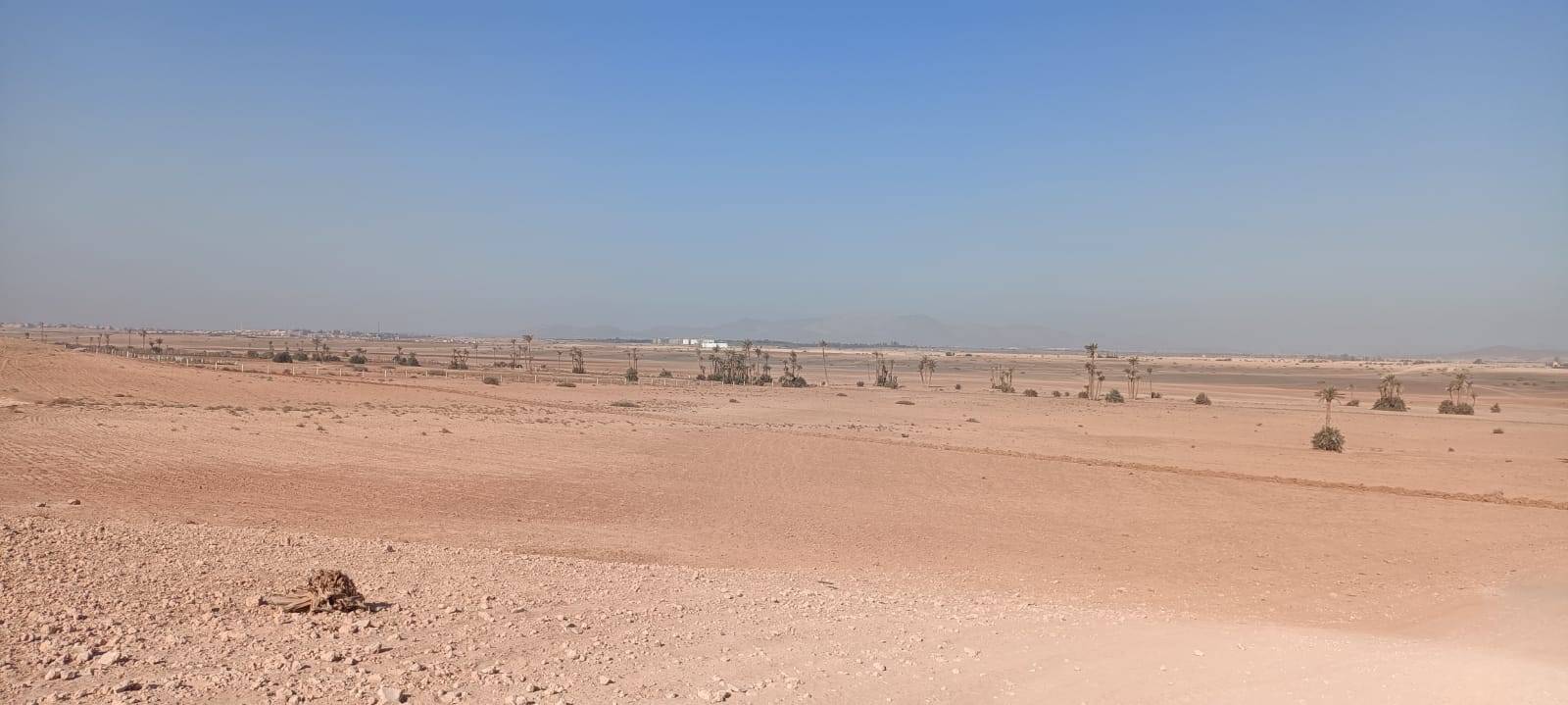 Tours à vélo à la Palmeraie Marrakech demi-journée