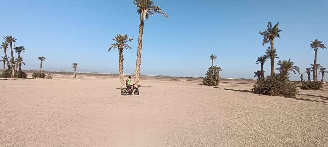 Tours à vélo à la Palmeraie Marrakech demi-journée