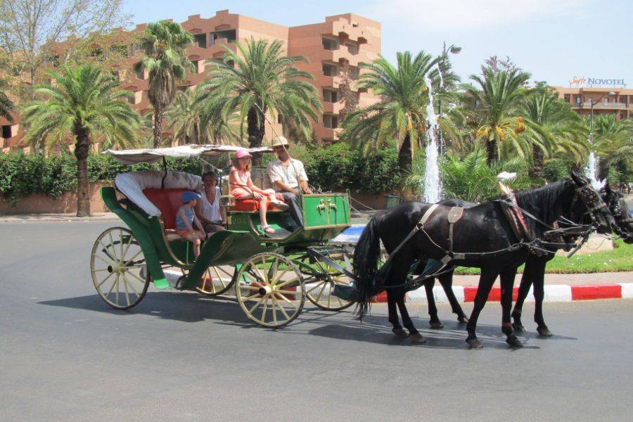 Circuit 2 jours à Marrakech en demi-pension et spa au départ de Casablanca