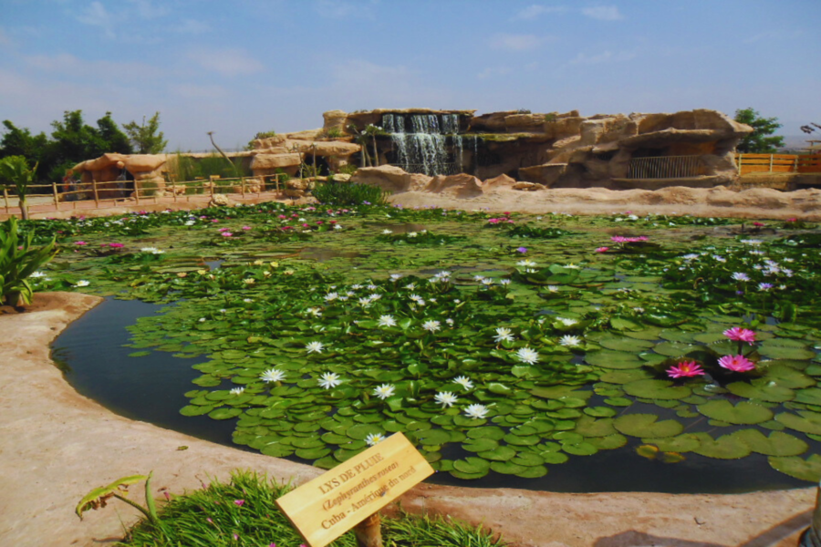Excursion d'une journée à Agadir au départ de Marrakech