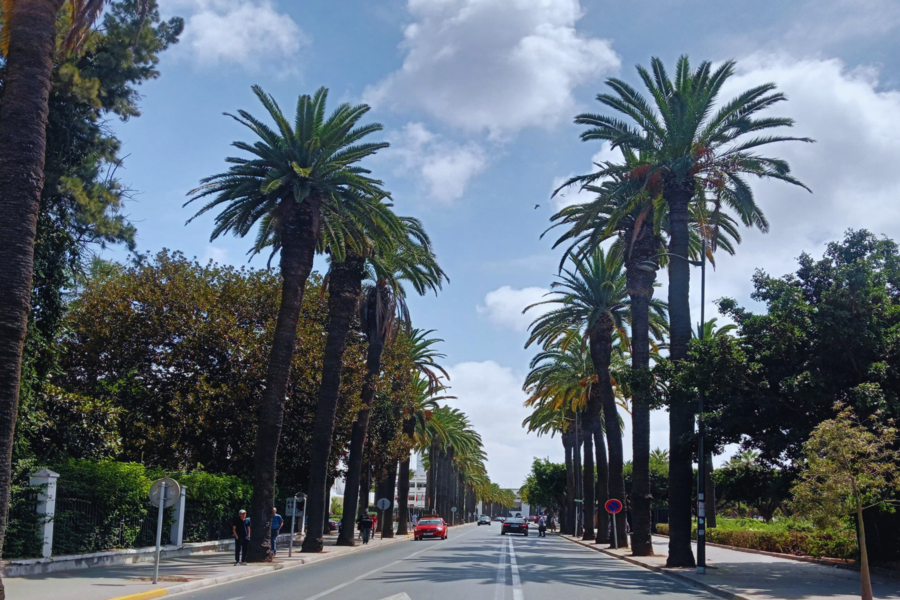 Excursion d'une journée à Casablanca depuis Marrakech