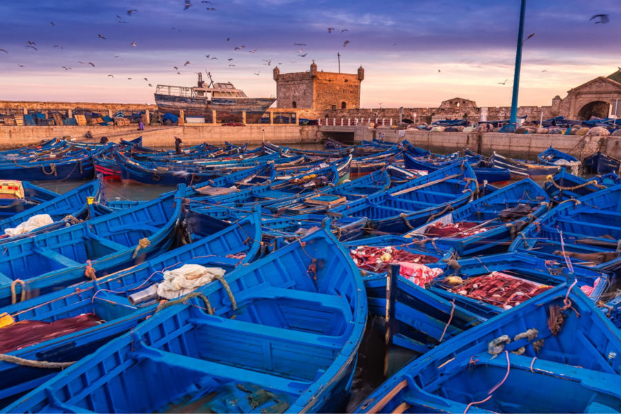 Excursion d'une journée à Essaouira