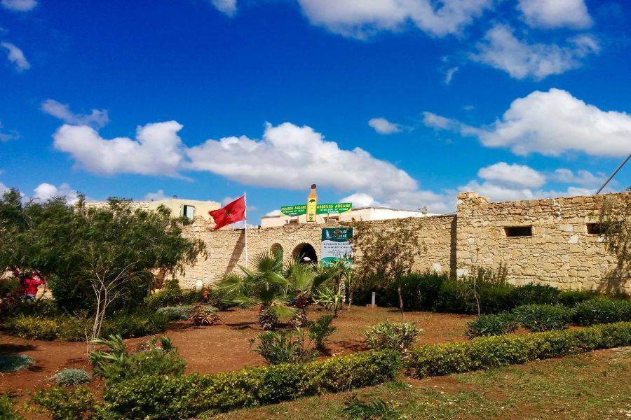 2 jours à la magnifique ville d'Essaouira (Mogador)