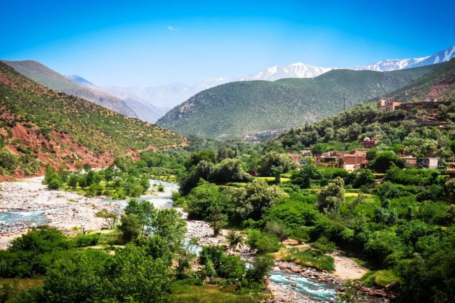 Montagne du Haut Atlas avec visite de la mosquée de Tinmel