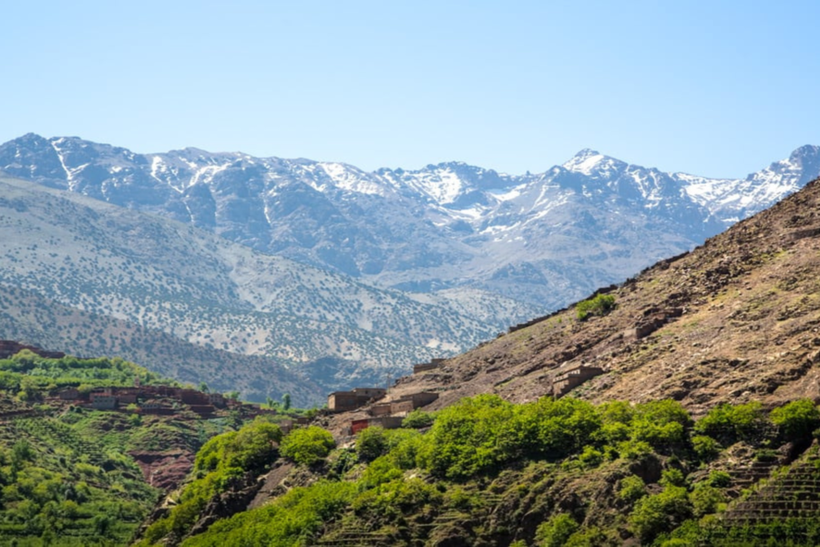 Montagne du Haut Atlas avec visite de la mosquée de Tinmel