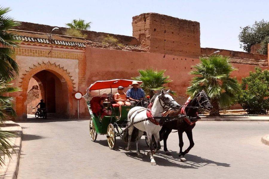 Magnifique Balade calèche à Marrakech