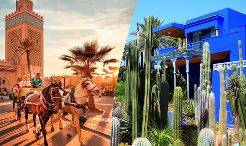 Excursion en calèche et visite du jardin Majorelle