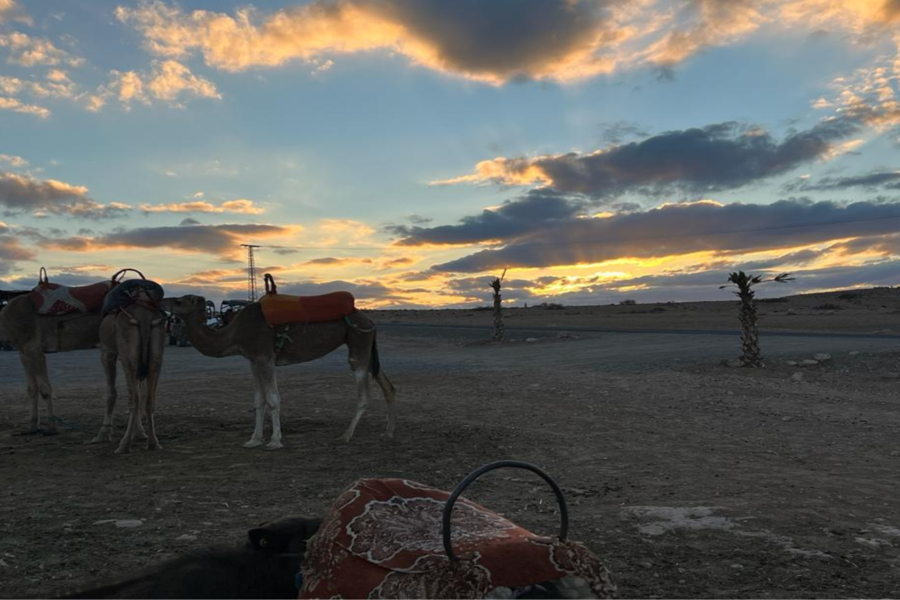 Excursion d'une journée dans les montagnes de l'Atlas avec une randonnée à dos de chameau au coucher du soleil à Agafay Desert