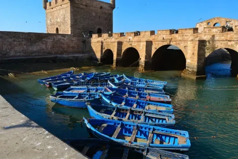 Excursion d'une journée à Essaouira