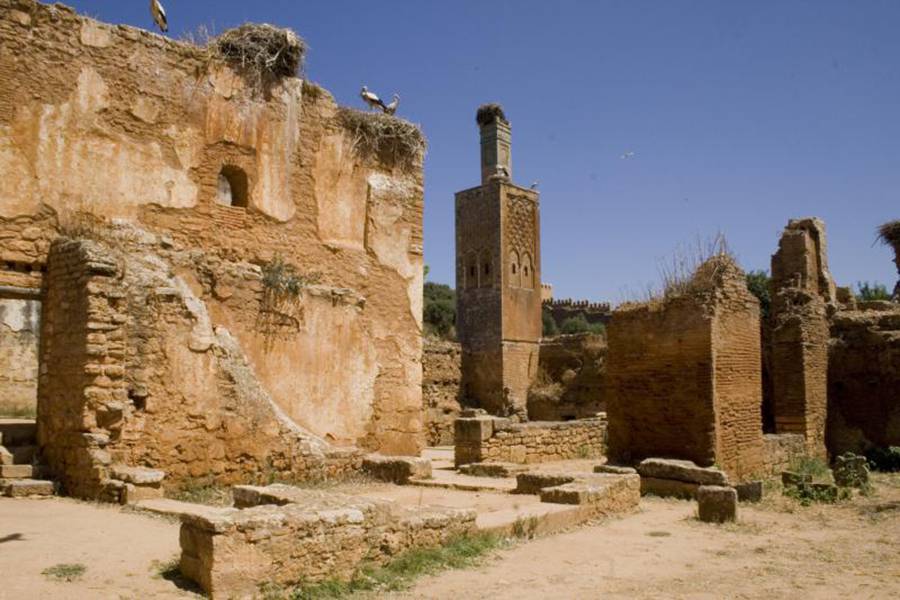 Excursion privée d'une journée à Rabat au départ de Casablanca