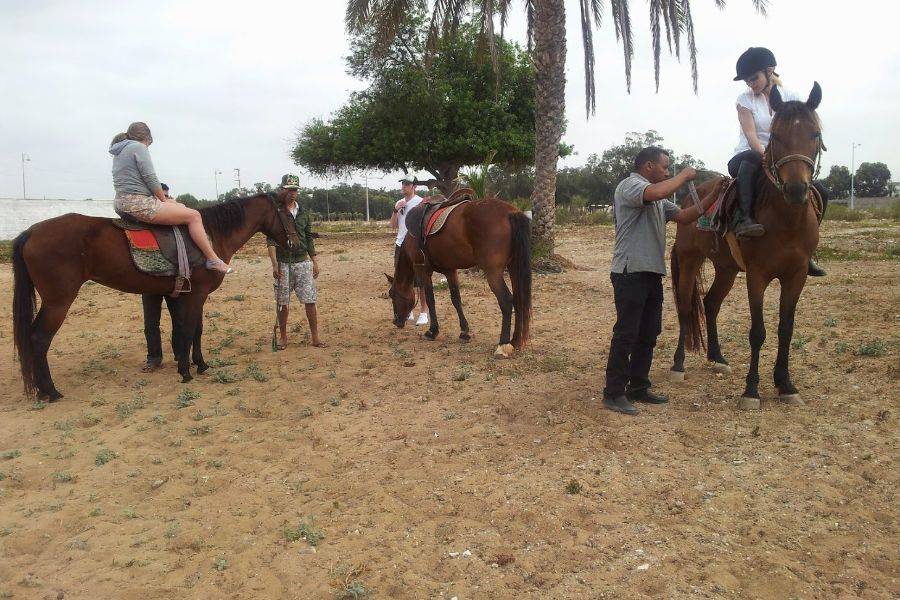 Balade de Cheval à la Palmeraie Marrakech