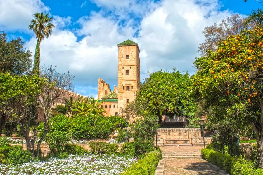 Excursion privée d'une journée à Rabat au départ de Casablanca