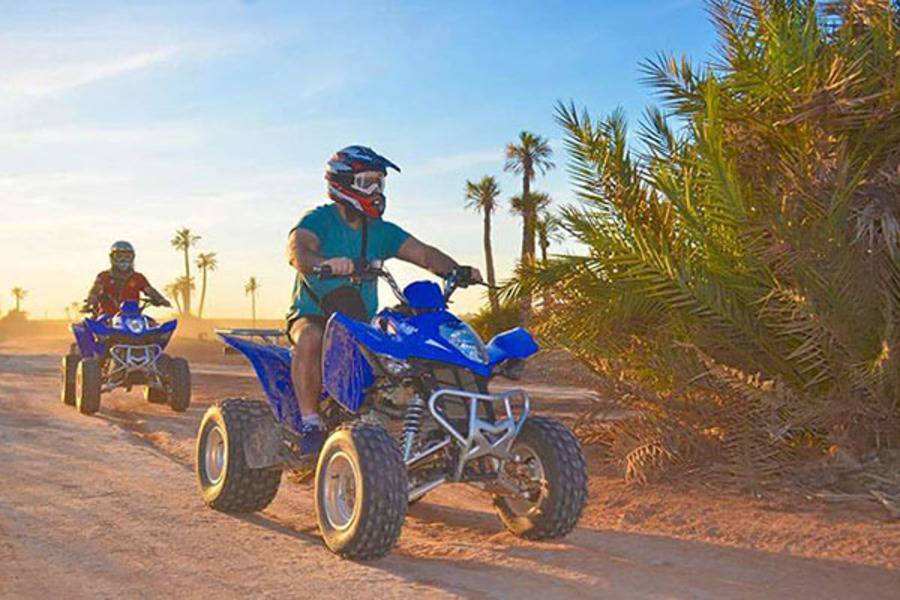 Balade de Chameau et Quad et Spa