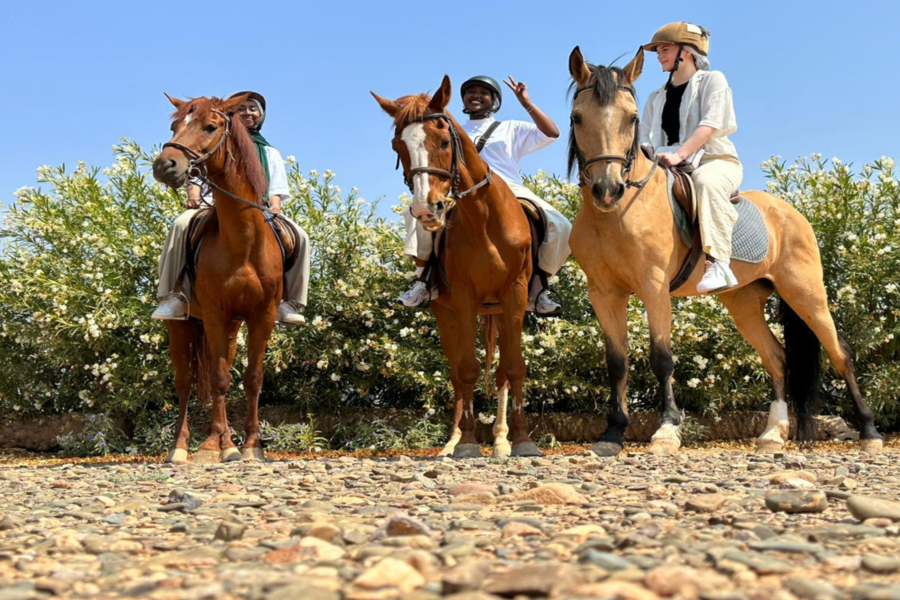 Balade de Cheval à la Palmeraie Marrakech