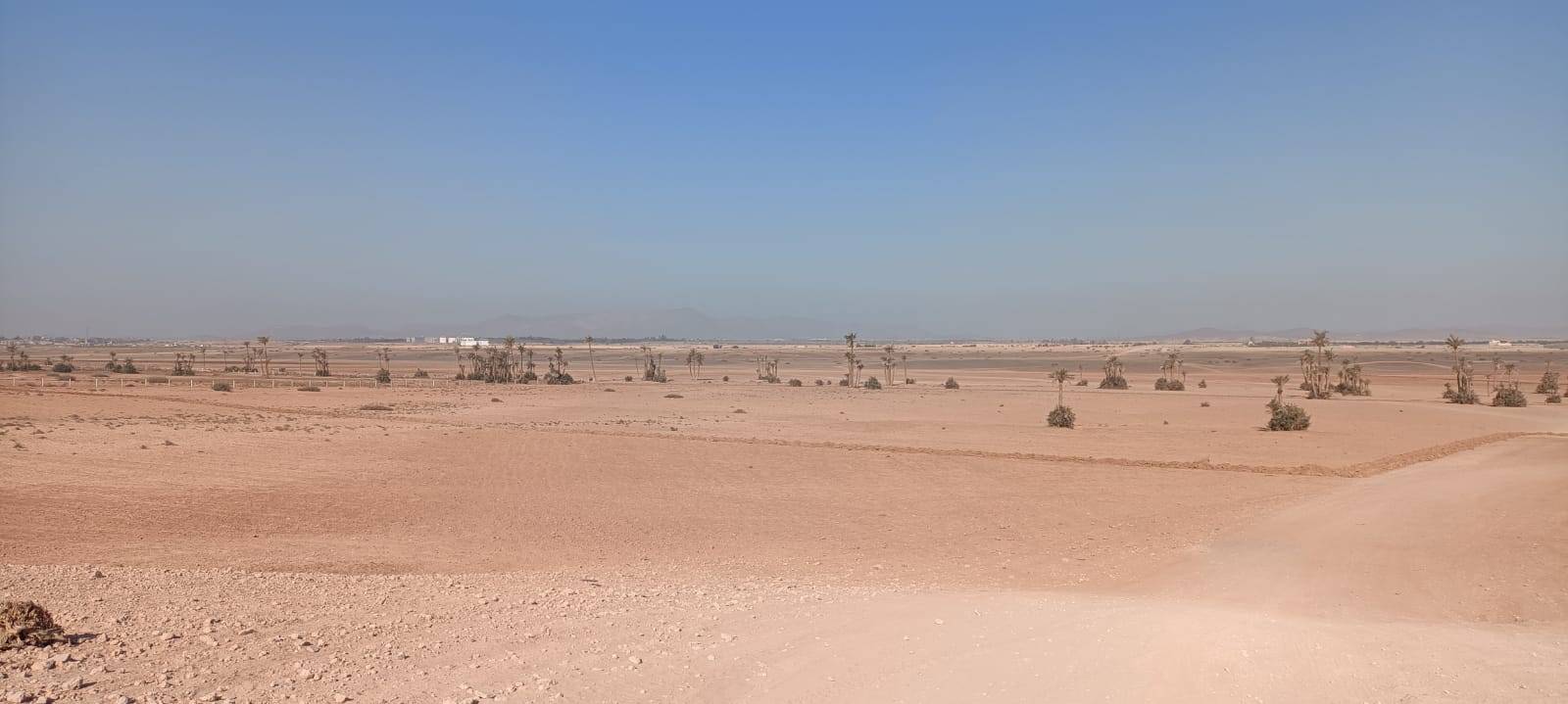 Tours à vélo à la Palmeraie Marrakech demi-journée