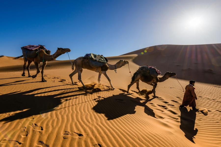 Expérience de 5 jours dans le désert du Maroc