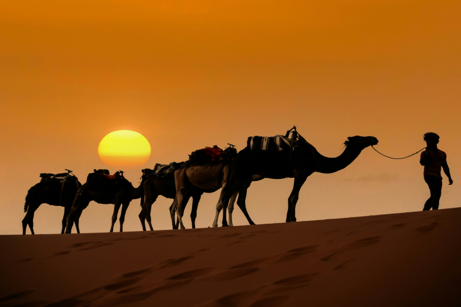 Expérience de 5 jours dans le désert du Maroc
