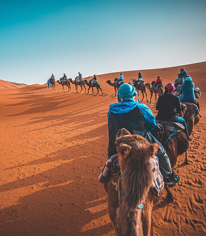 excursion desert